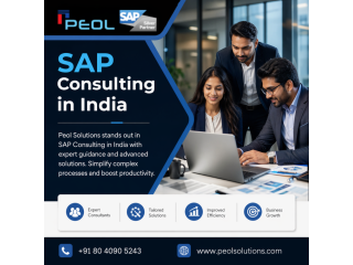 sap-consulting-in-india-small-0