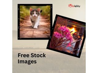 free-stock-images-by-fotolobby-small-0