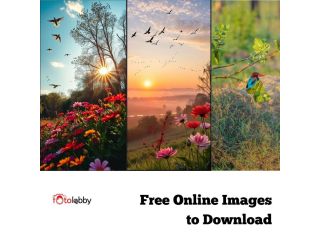 free-online-images-to-download-by-foto-lobby-small-0