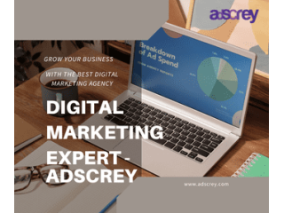 find-digital-marketing-company-in-india-by-adscrey-small-0