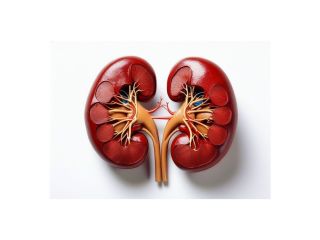 kidney-stone-services-in-delhi-laser-treatment-expert-care-small-0