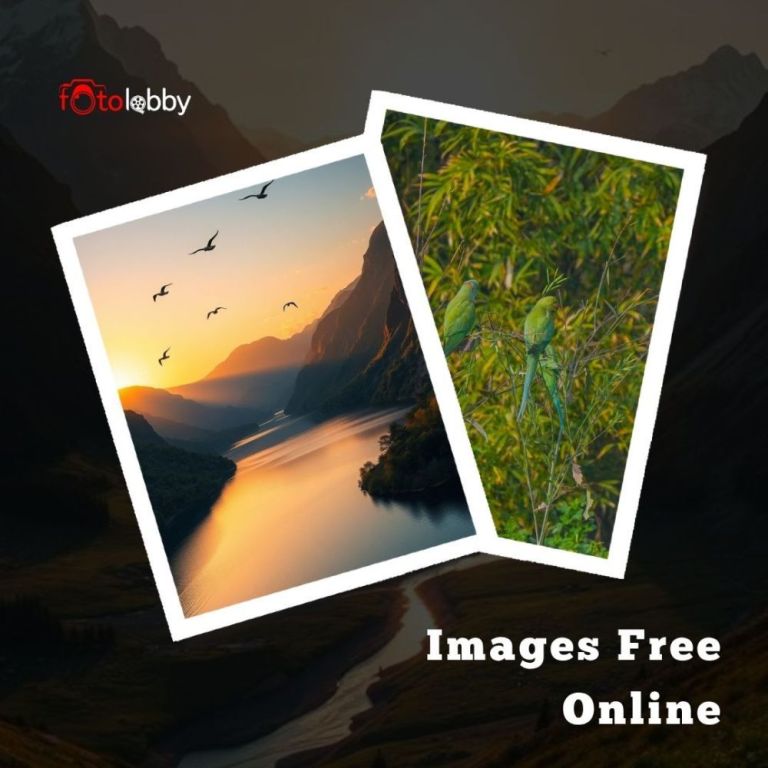 images-free-online-by-fotolobby-big-0