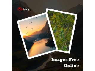 images-free-online-by-fotolobby-small-0