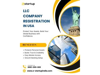 llc-company-registration-in-the-usa-small-0
