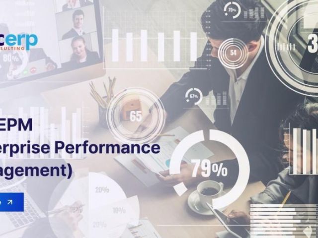 sap-epm-solutions-company-in-india