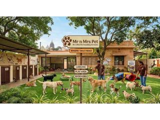 dog-boarding-services-in-bhubaneswar-small-0