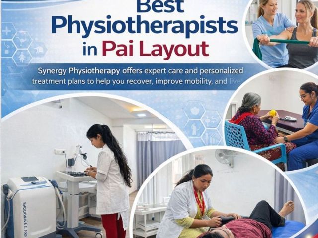 best-physiotherapists-in-pai-layout-best