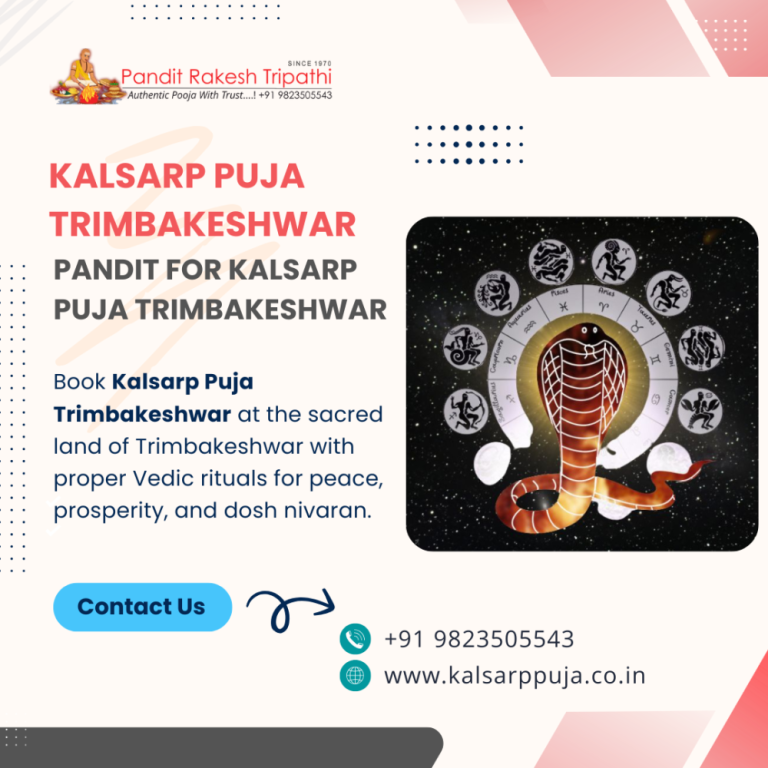 pandit-for-kalsarp-puja-trimbakeshwar-pandit-rakesh-tripathi-big-0
