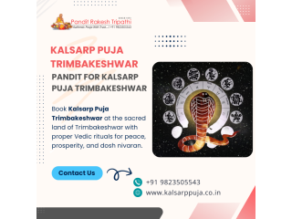 pandit-for-kalsarp-puja-trimbakeshwar-pandit-rakesh-tripathi-small-0