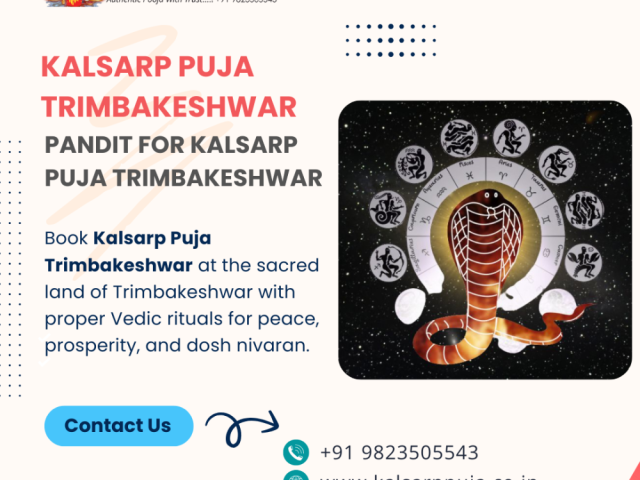 pandit-for-kalsarp-puja-trimbakeshwar-pandit-rakesh-tripathi
