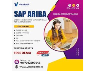 sap-ariba-course-online-top-sap-ariba-training-in-ameerpet-small-0