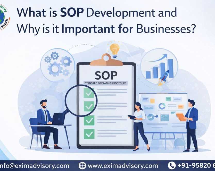 build-effective-sop-development-exim-advisory