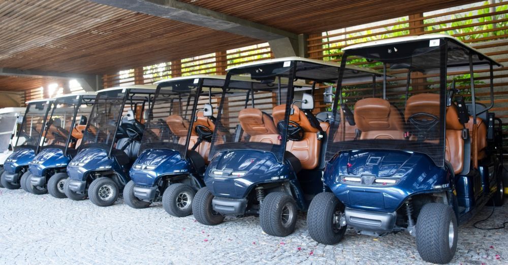 best-electric-golf-cart-manufacturer-supplier-in-india-big-0