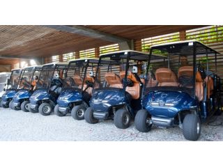best-electric-golf-cart-manufacturer-supplier-in-india-small-0