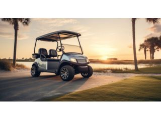 best-electric-golf-cart-manufacturer-supplier-in-india-small-1