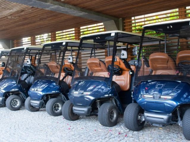 best-electric-golf-cart-manufacturer-supplier-in-india