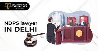 lawyer-in-delhi-for-legal-assistance-big-0