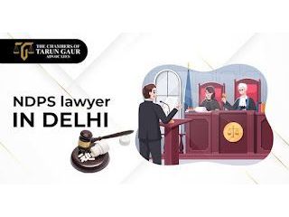 lawyer-in-delhi-for-legal-assistance-small-0