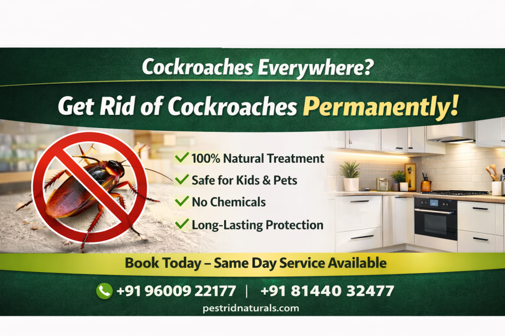 cockroach-control-in-chennai-pest-rid-naturals-big-0