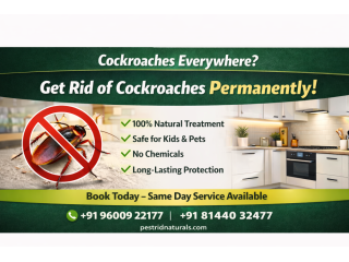cockroach-control-in-chennai-pest-rid-naturals-small-0