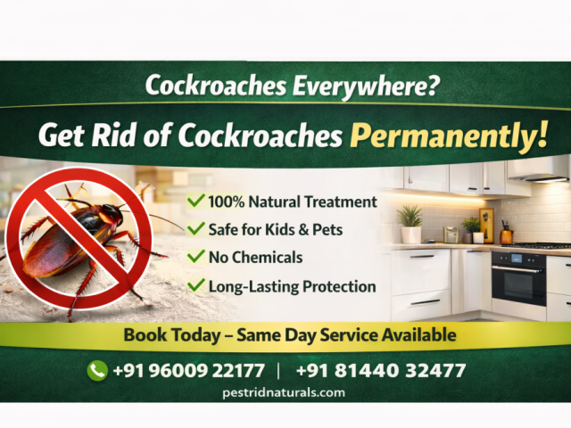 cockroach-control-in-chennai-pest-rid-naturals