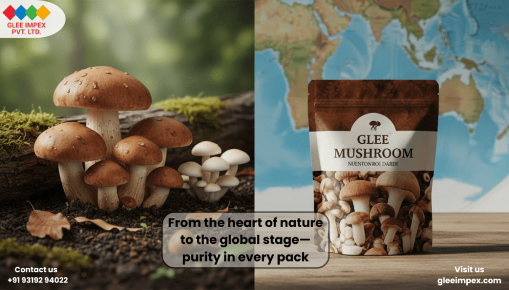 trusted-mushroom-exporter-in-india-glee-impex-global-supply-big-0