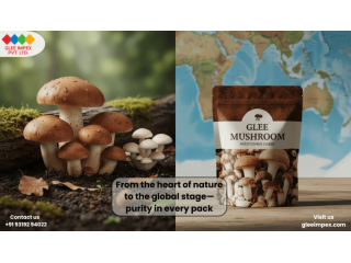trusted-mushroom-exporter-in-india-glee-impex-global-supply-small-0