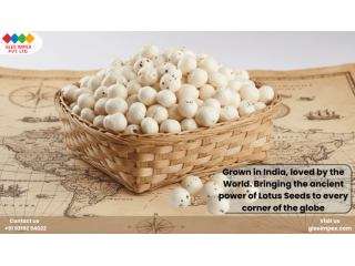 trusted-makhana-exporter-in-india-for-bulk-buyers-small-0