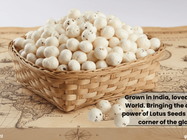 trusted-makhana-exporter-in-india-for-bulk-buyers