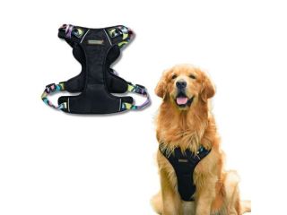 comfortable-dog-body-harness-by-waggety-for-daily-walks-small-0
