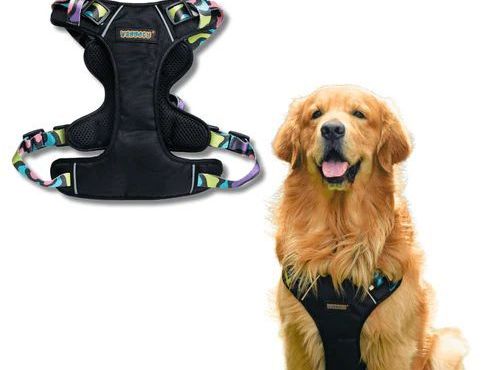 comfortable-dog-body-harness-by-waggety-for-daily-walks