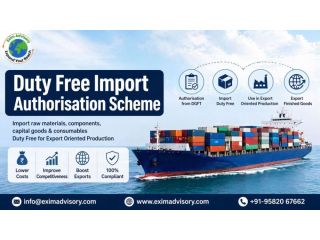 duty-free-import-authorisation-scheme-guide-exim-advisory-small-0