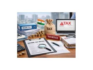 nri-tax-return-filing-in-unnao-expert-help-small-0