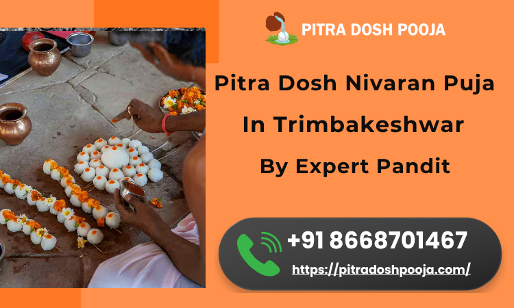pitra-dosh-nivaran-puja-in-trimbakeshwar-by-expert-pandit-big-0