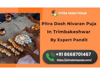 pitra-dosh-nivaran-puja-in-trimbakeshwar-by-expert-pandit-small-0