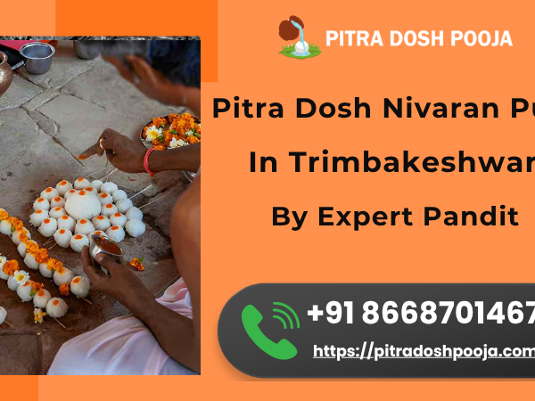 pitra-dosh-nivaran-puja-in-trimbakeshwar-by-expert-pandit