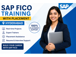 sap-fico-training-with-placement-hyderabad-small-0