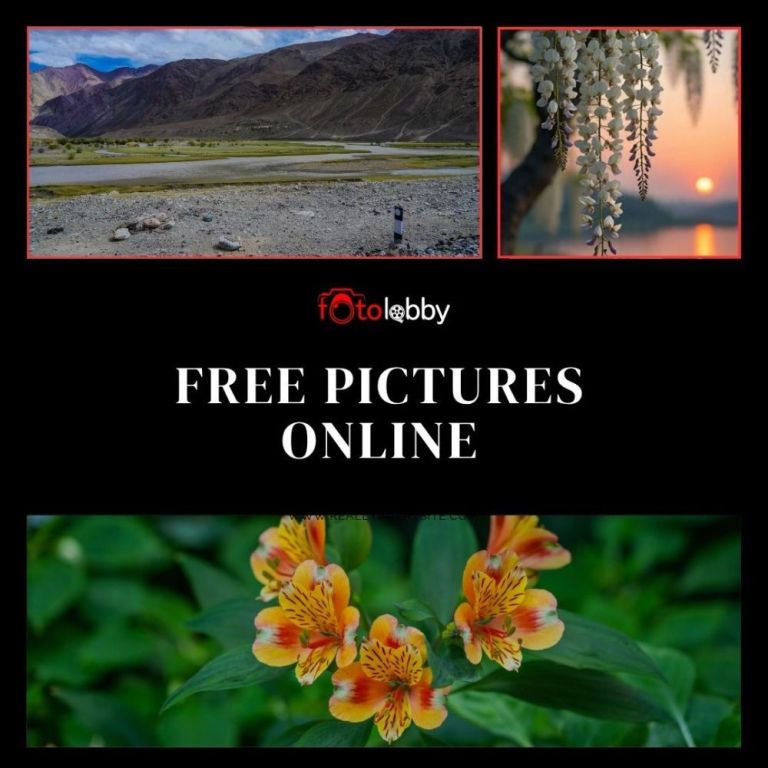 free-pictures-online-by-fotolobby-big-0