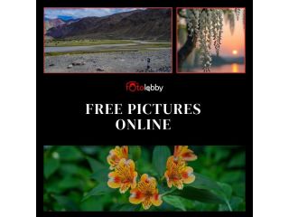free-pictures-online-by-fotolobby-small-0