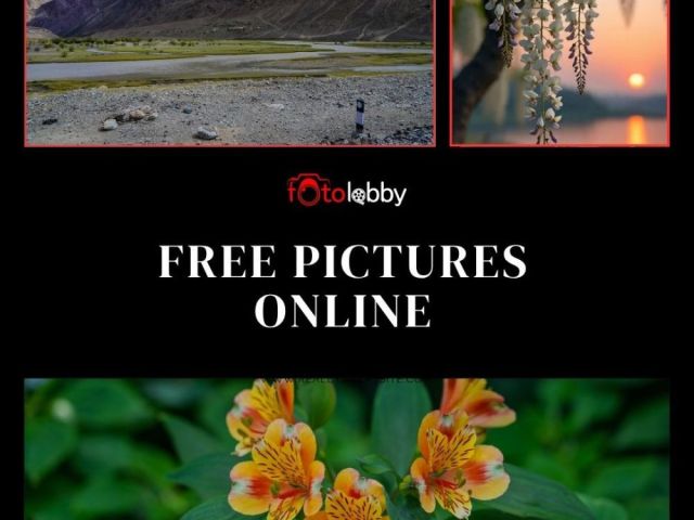 free-pictures-online-by-fotolobby