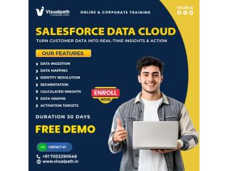 salesforce-data-cloud-training-ameerpet-data-cloud-course-small-0