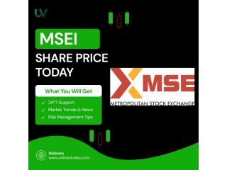 msei-unlisted-share-price-market-trends-explained-small-0