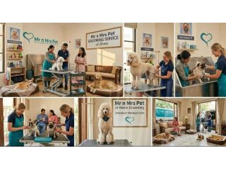 pet-grooming-service-at-home-in-bhubaneswar-small-0