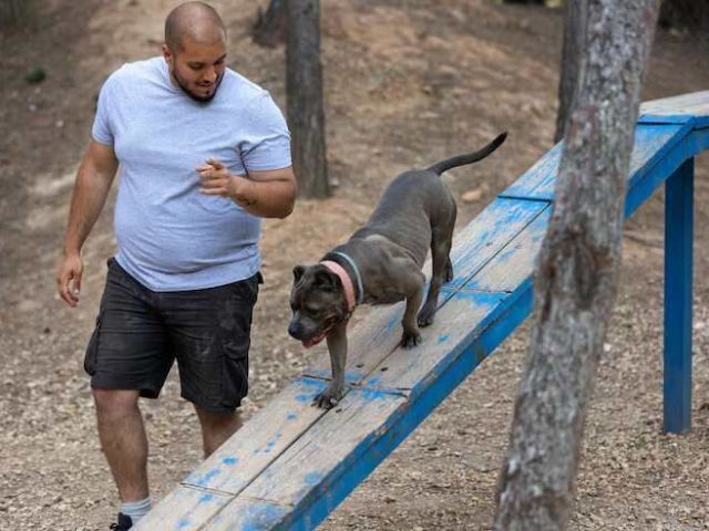 dog-trainer-in-patna
