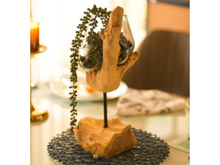 unique-stick-glass-roots-table-vase-decor-for-artistic-spaces-small-0
