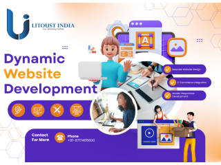 professional-dynamic-website-development-services-in-india-small-0
