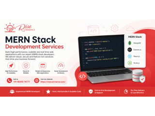 mern-stack-development-services-risecore-technologies-small-0