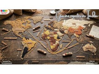 trusted-grains-exporter-in-india-glee-impex-small-0