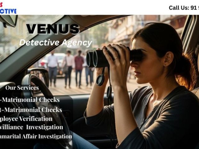 top-detective-agency-in-goa-for-background-checks-surveillance