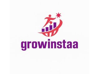growinstaa-instagram-follower-company-in-jaipur-small-0